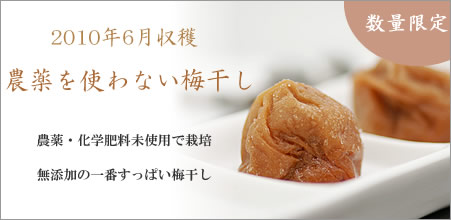 紀州南高梅干通販専門店,農薬を使わない無添加梅干（自然農法梅干し）